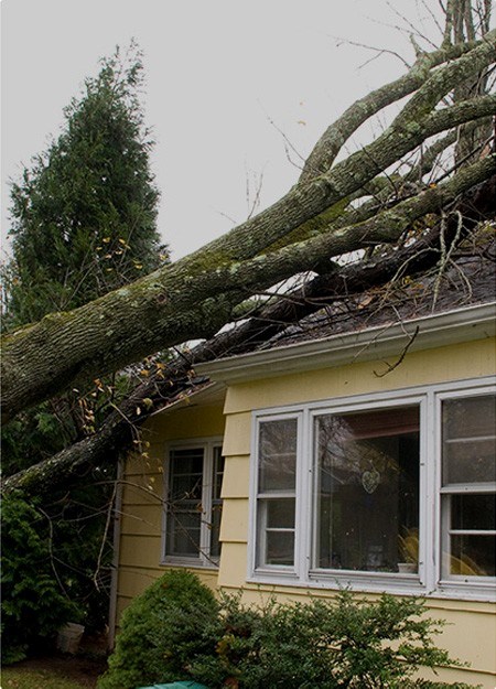roof repair services for falling debris in Westwood