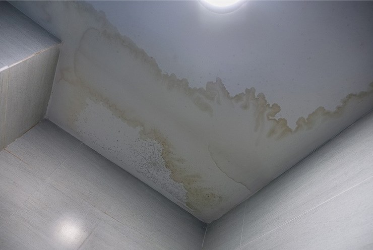 emergency roof repair for leaks in Westwood