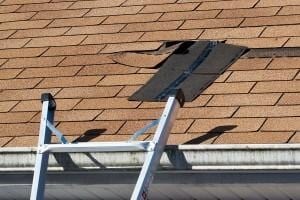 Roof FAQ