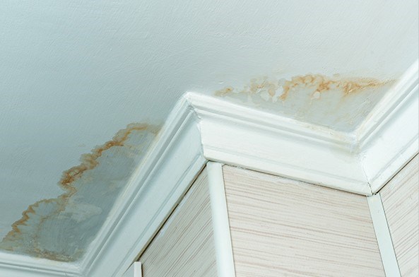 roof repair in Westwood for roof leak stains